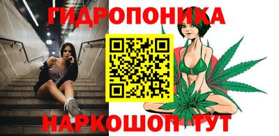гидра Малгобек